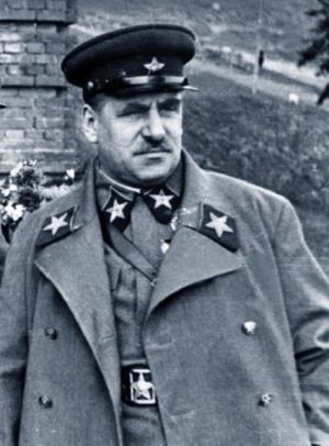 Маршал Советского Союза  Василий Константинович Блюхер - полководец первого ранга