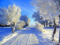 Онлайн фотоакция Зимние пейзажи